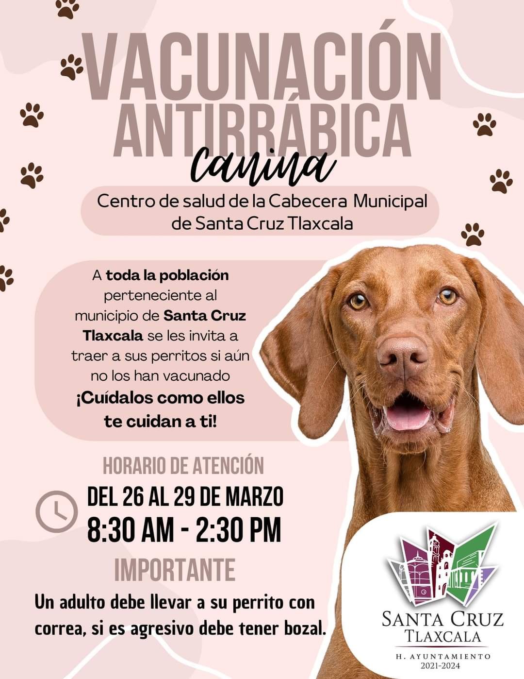 Vacunación antirrábica